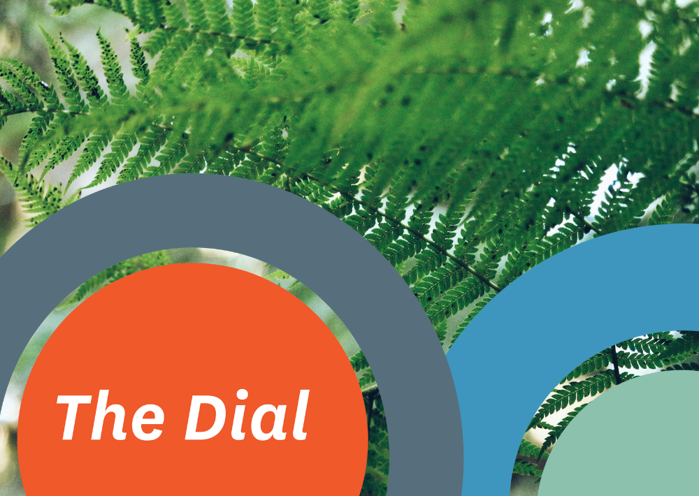 The Dial: March 2025