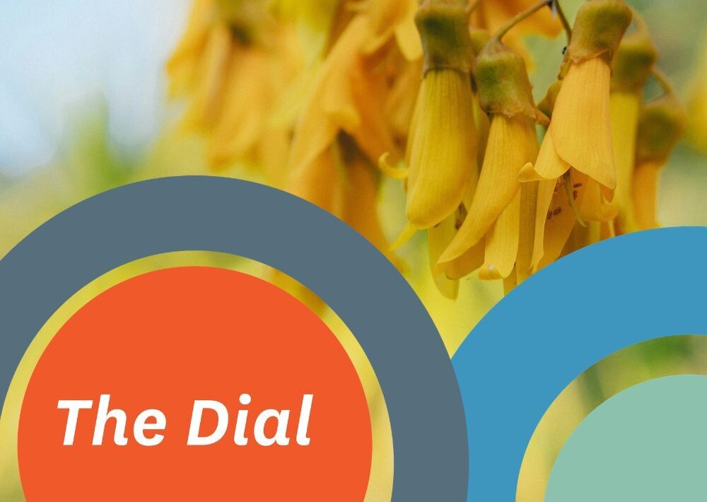 The Dial: September 2026
