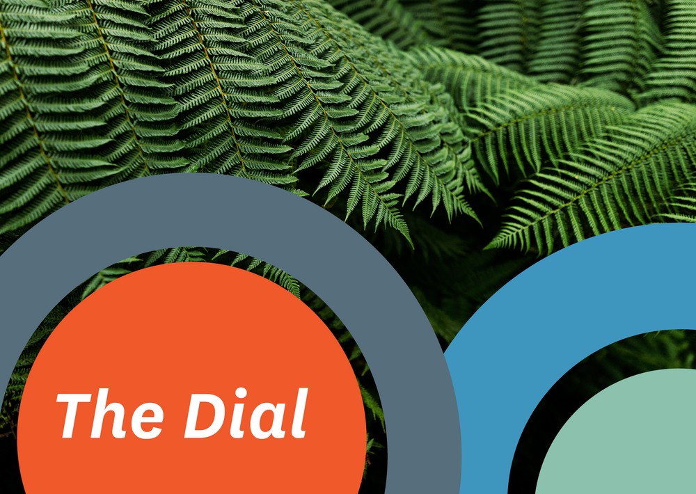 The Dial: September 2021